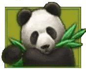 แพนด้า Lucky Panda