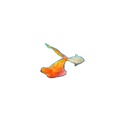 ปลาหางส้ม เกมยิงปลา Fish Haiba