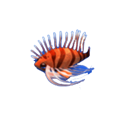ปลาสิงโต เกมHappy Fish 5