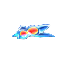ปลาสีฟ้า เกมHappy Fish 5