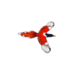 สัญลักษณ์ นกตัวเล็กสีขาว แดง
