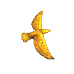 สัญลักษณ์ นกตัวใหญ่สีทอง