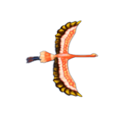 สัญลักษณ์ นกตัวใหญ่สีส้ม