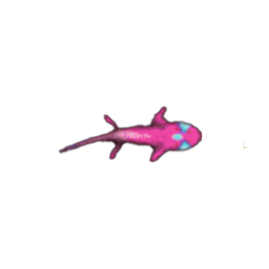 ปลาวตัวเล็กสีชมพู
